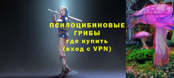 spice Алексеевка