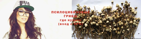 каннабис Алексин