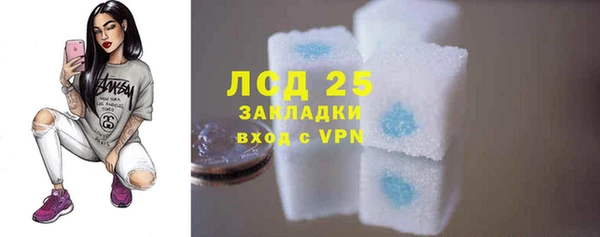 ГАЛЛЮЦИНОГЕННЫЕ ГРИБЫ Алзамай
